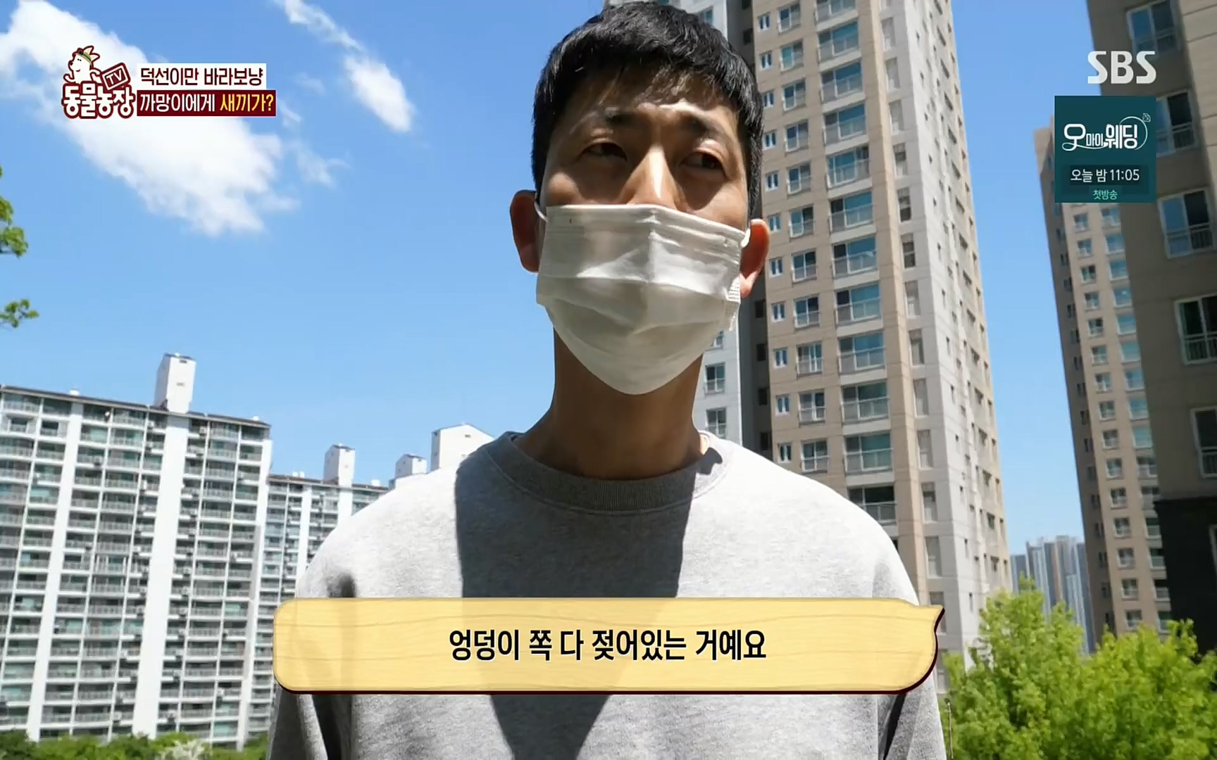 TV 동물농장.E1073.220612p.H264-F1RST.mp4_20220612_181347.839.jpg
