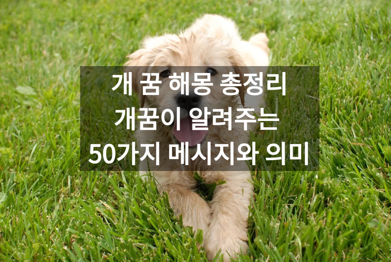 개 꿈 해몽