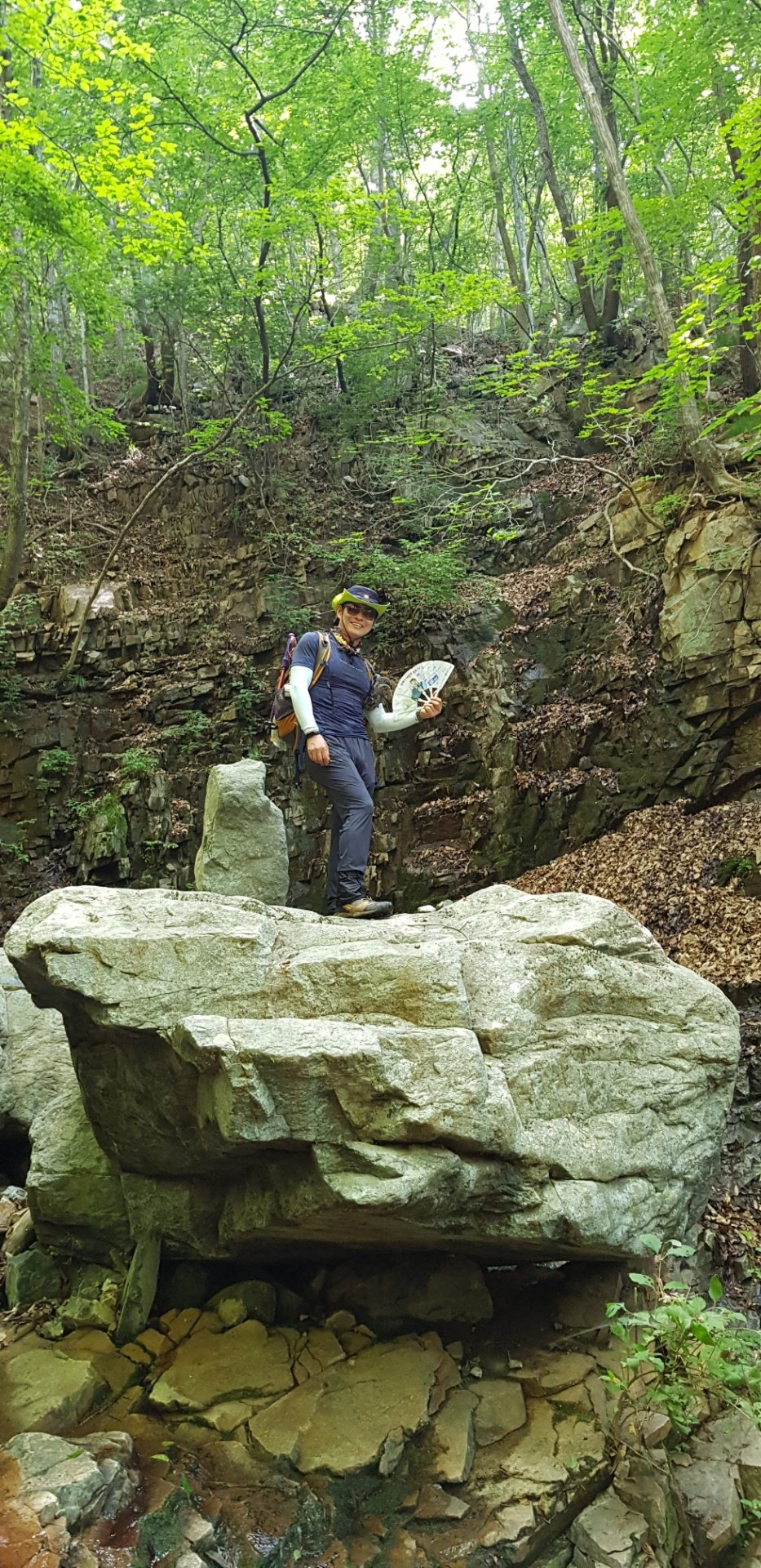 울산 고헌산