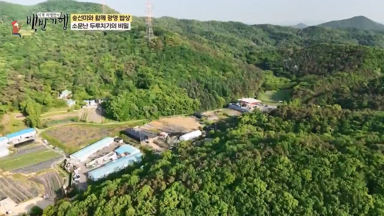 식객 허영만의 백반기행.E249.240527p-NEXT.mp4_20240527_195515.325.jpg