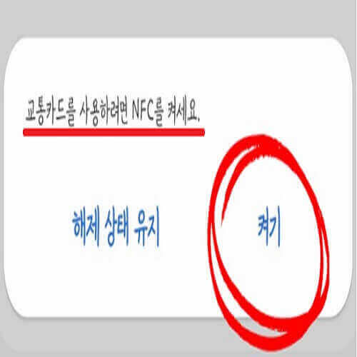 삼성페이_NFC