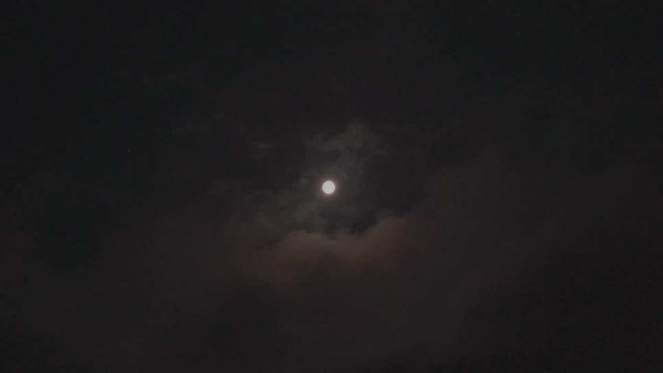 사진 잘나오는 스마트폰 스마트폰으로 별사진 잘 찍는법 | 22