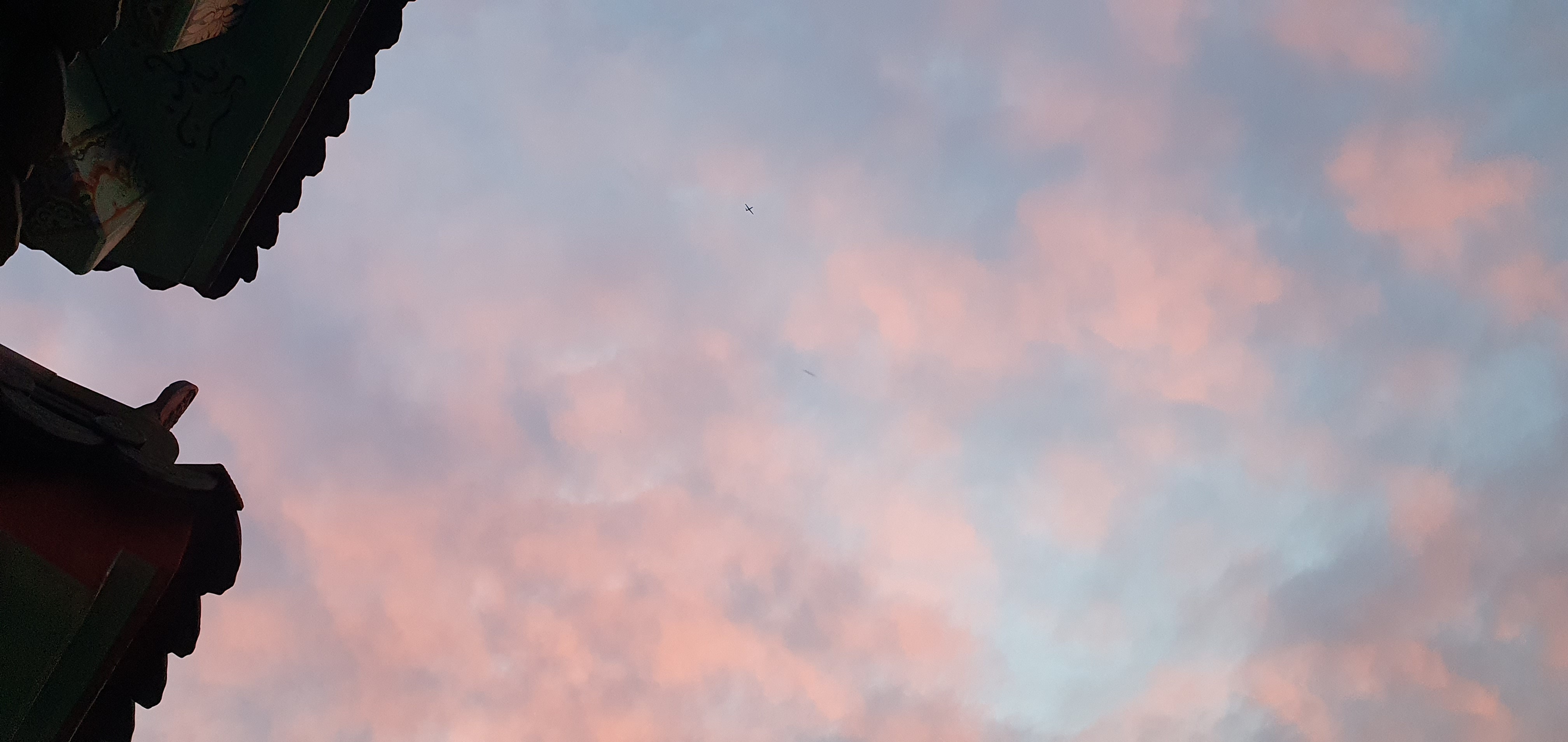 img.jpg