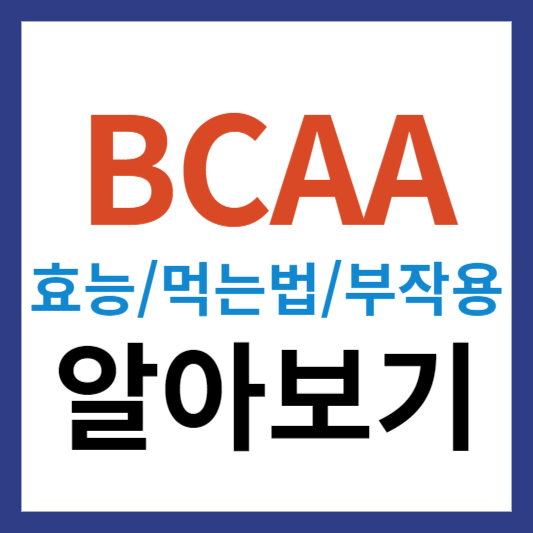 BCAA 효능 및 섭취방법과 부작용 정보 알아보기