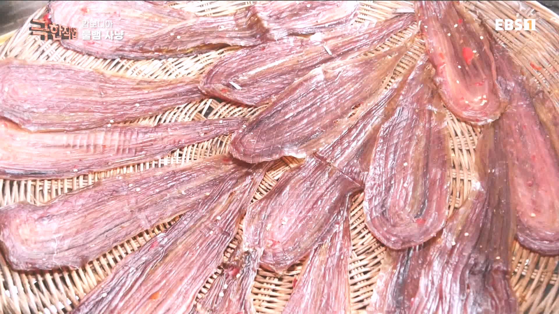 물뱀 사냥과 맹르로브숲의 게잡이 231021.mp4_20231025_211945.235.jpg