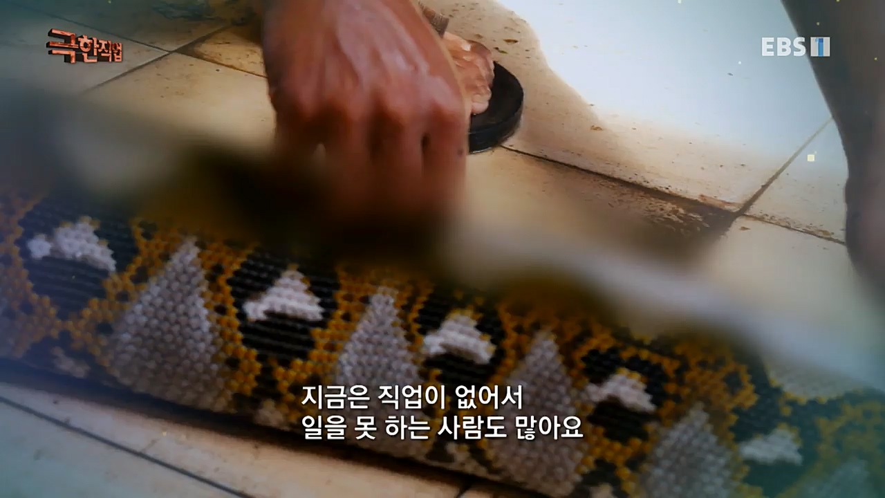 TV - 교육의 중심 EBS인도네시아 뱀사냥꾼.mp4_20221211_181450.196.jpg