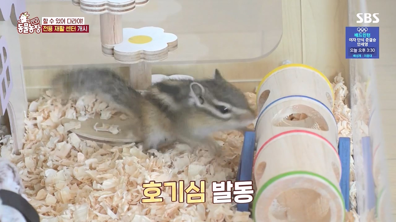 TV 동물농장.E1183.240805p-NEXT.mp4_20240804_154952.748.jpg