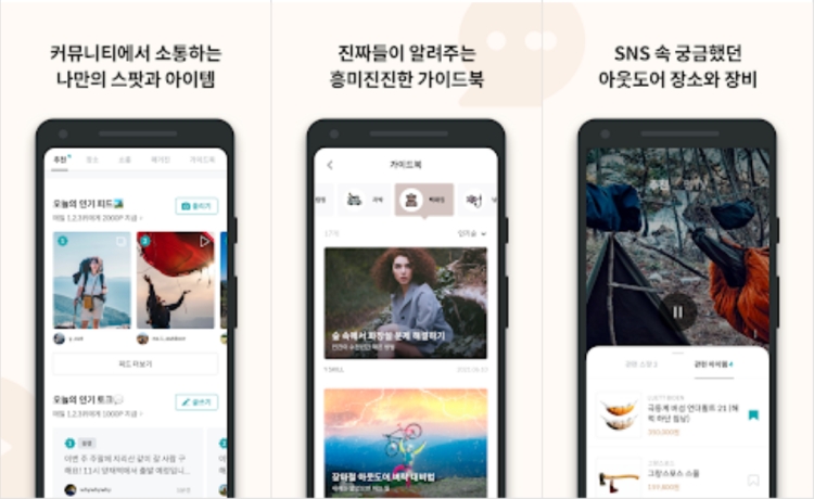 와이아웃