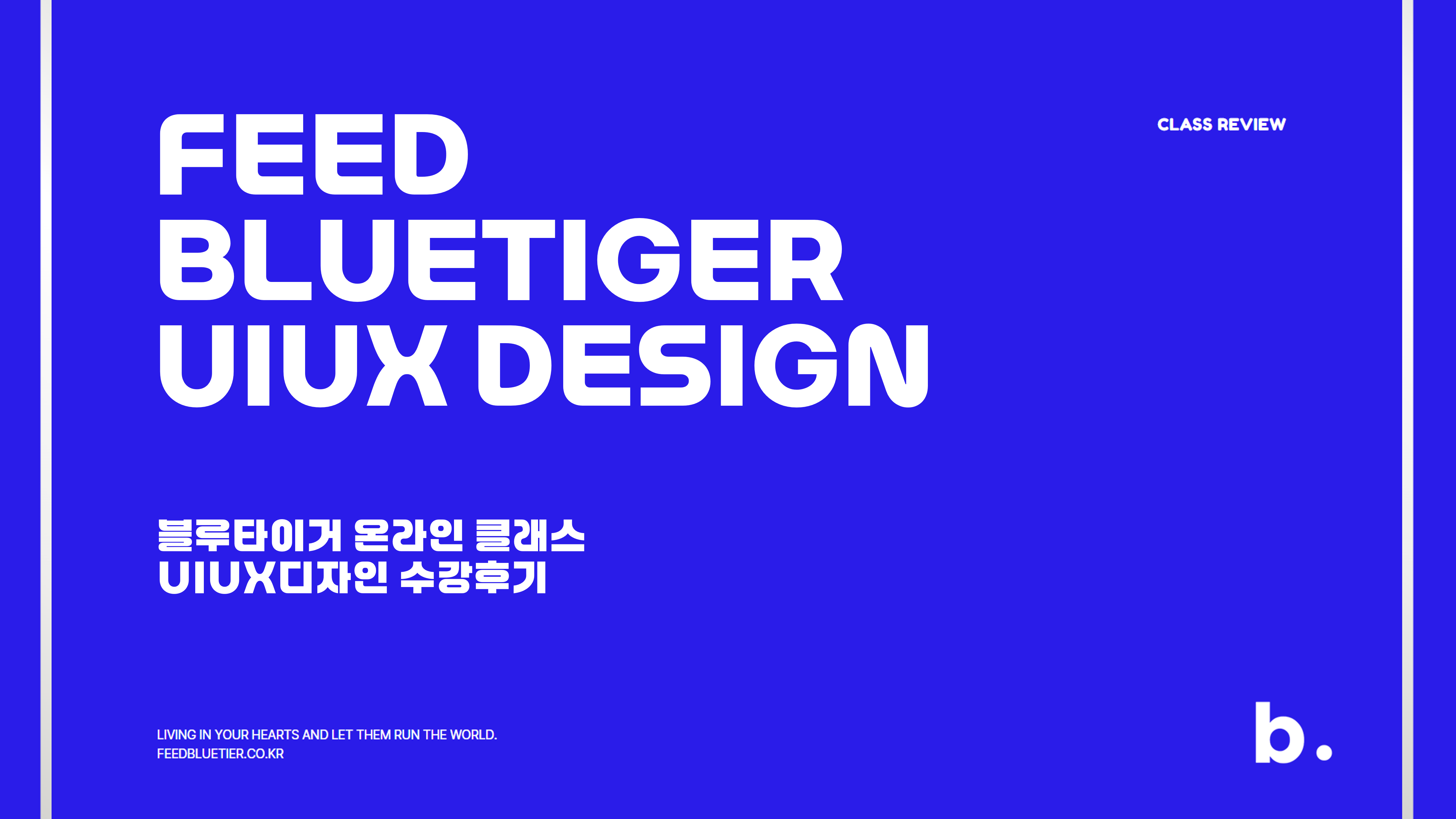 블루타이거 이미지