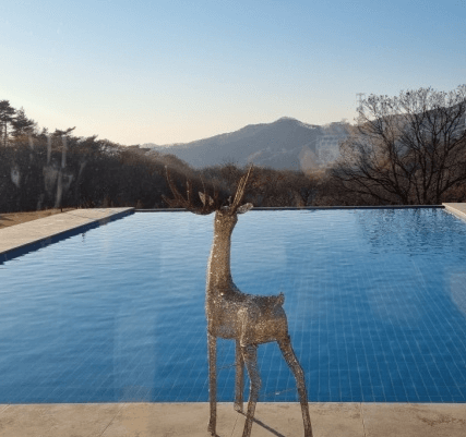 생방송_오늘저녁_충남_공주_수영장카페