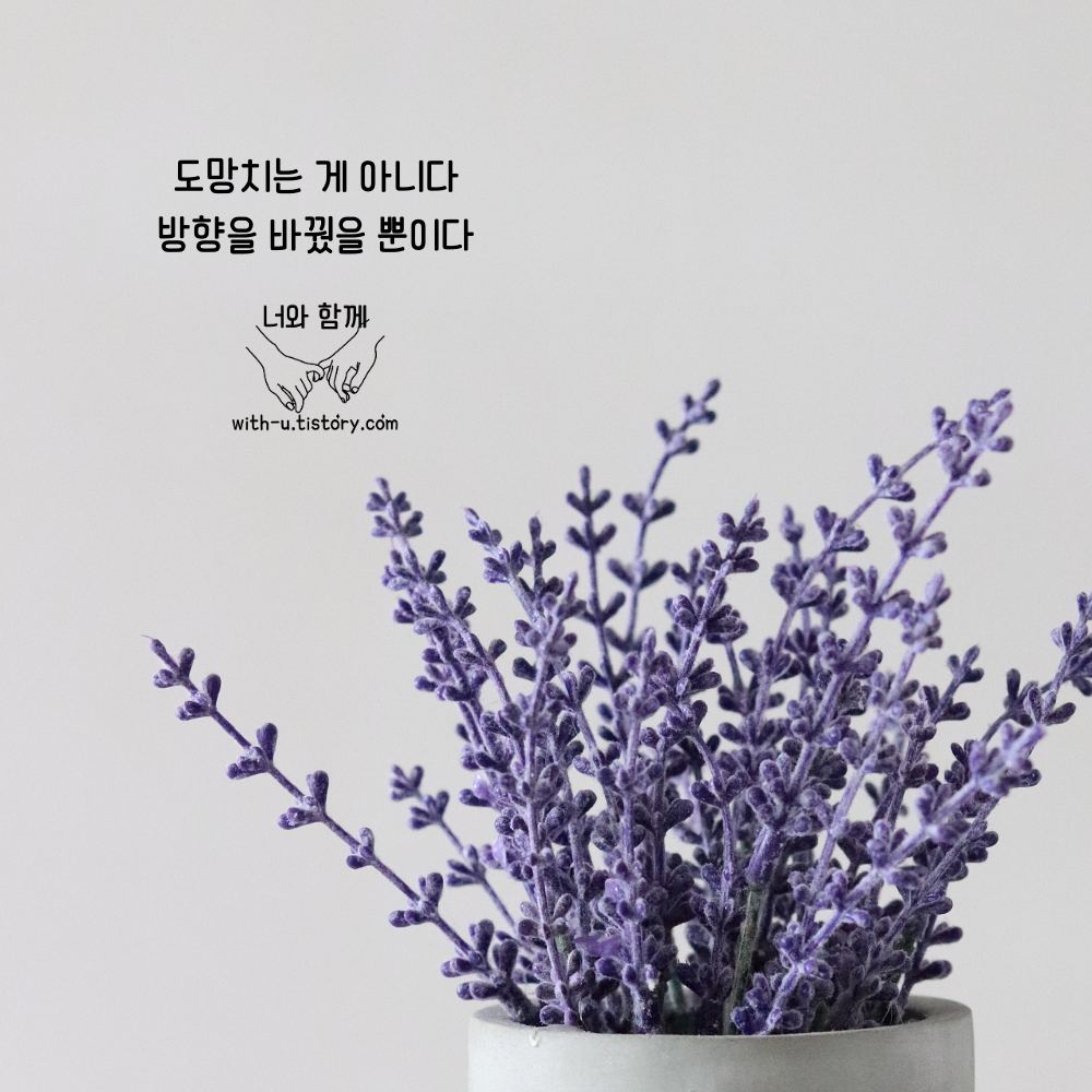  도피 명언 : 짧고 좋은 글귀 : 짧은 명언