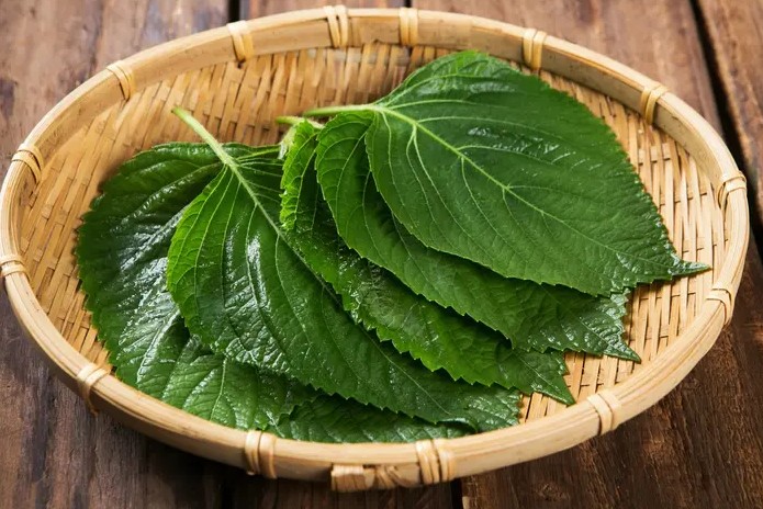 깻잎