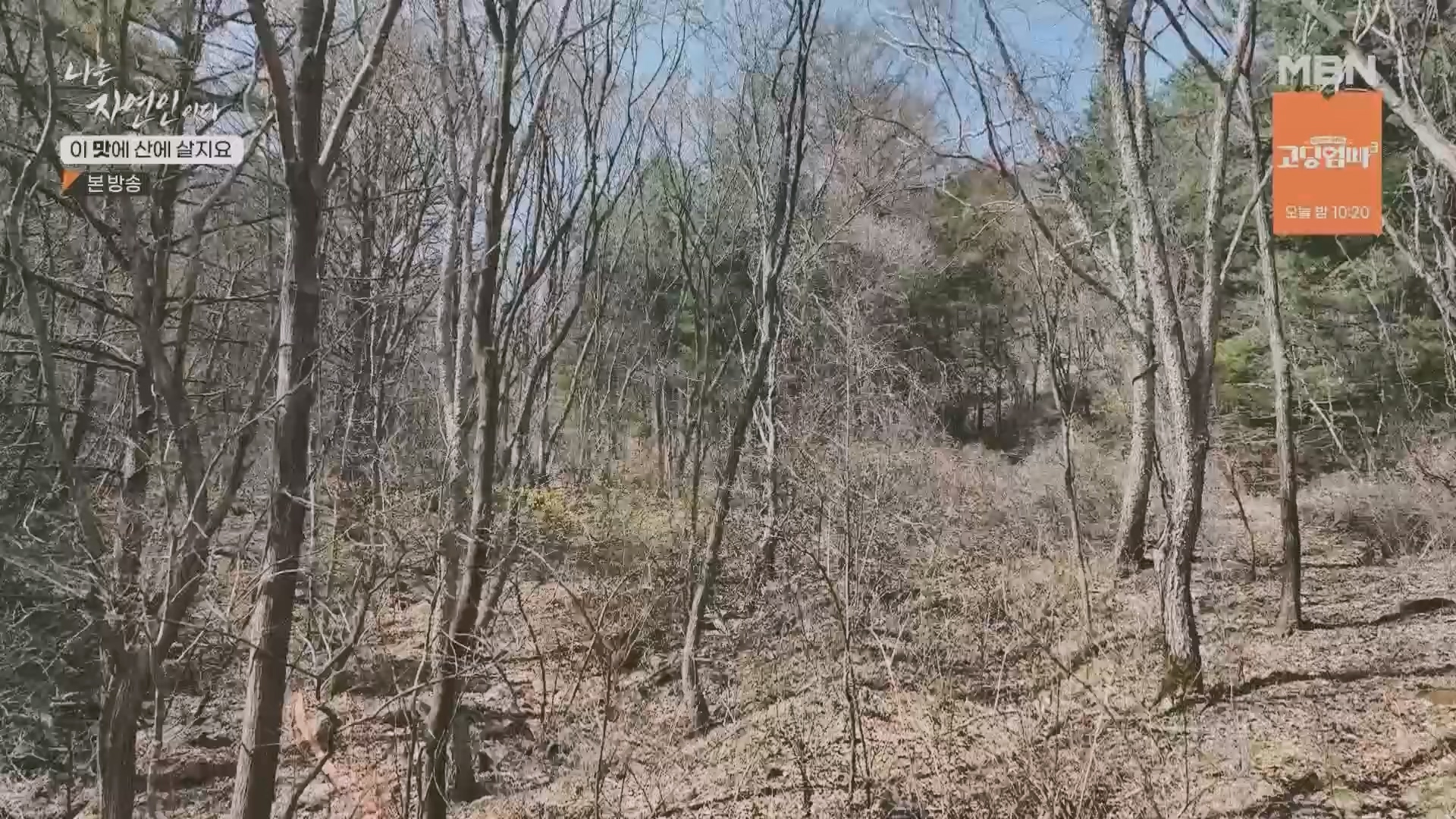 나는 자연인이다.E550.230419p.H264-F1RST.mp4_20230420_195641.468.jpg