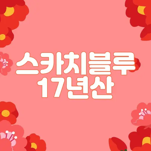 스카치블루 17년산