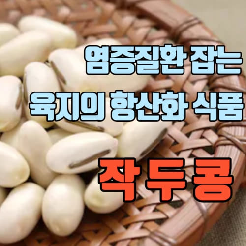  독소 배출로 비염 호흡기 건강 지켜주는 작두콩 작두콩차 효능 부작용 섭취 시 주의사항/ 작두콩 말리는 방법sword bean