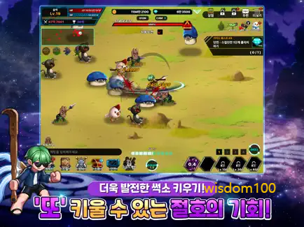 썩쏘또키우기 살펴보기 6