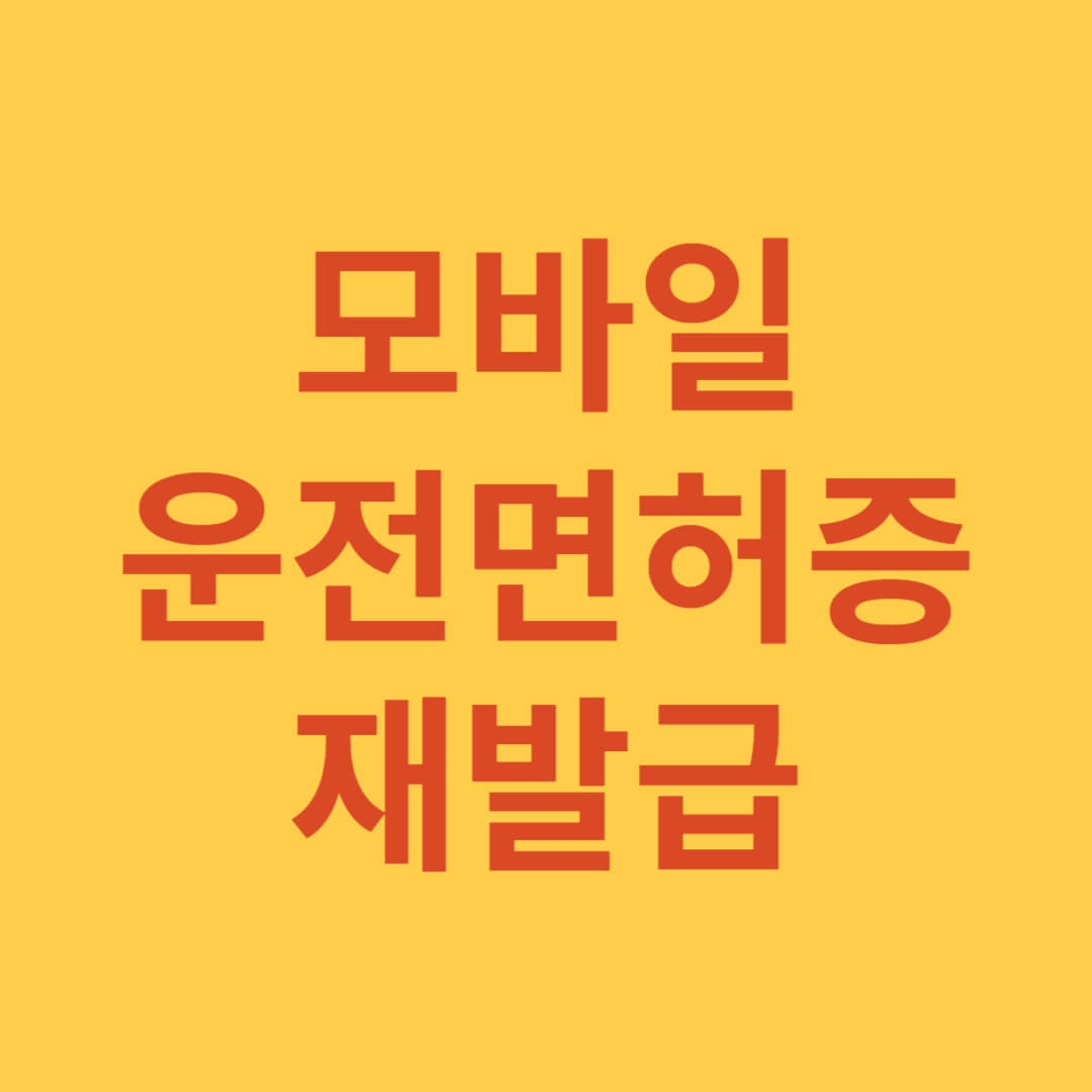 모바일신분증 운전면허증 재발급방법