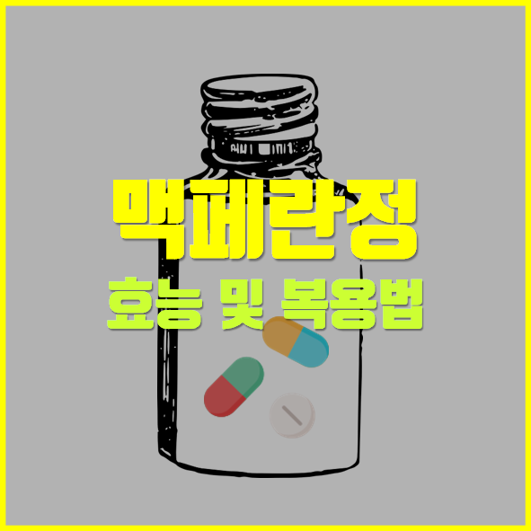  맥페란정 효능 의약품 정보