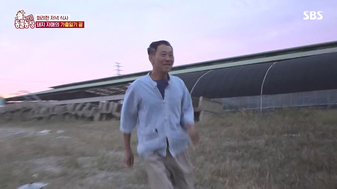 TV 동물농장.E1144.231106p-NEXT.mp4_20231105_175953.186.jpg