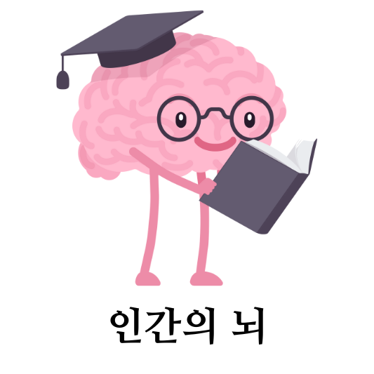 인간의 세 개 뇌