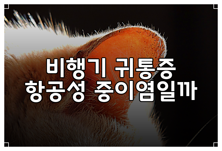 비행기 귀통증 항공성 중이염일까
