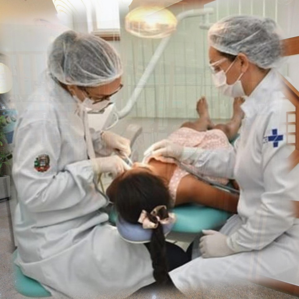 삼백초추출물관련 6