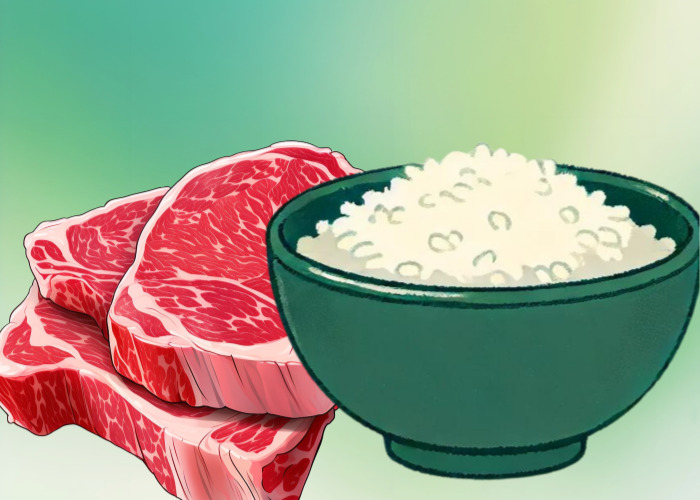 그릇에 담겨있는 쌀밥과 고기