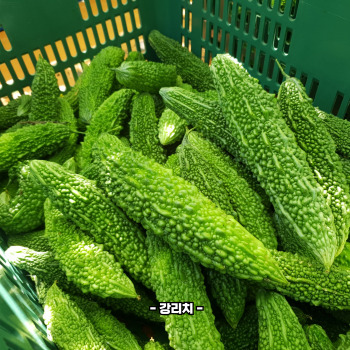 여주 제철