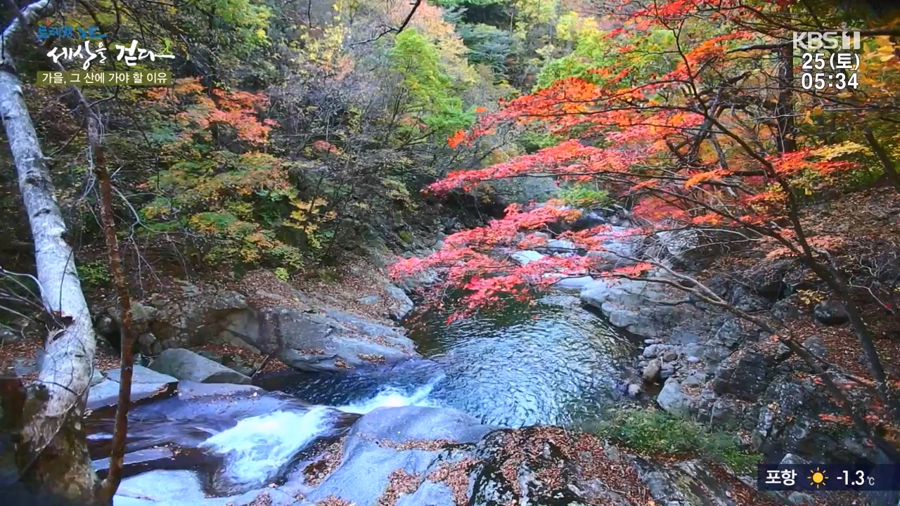 트레킹노트 세상을 걷다.E298.231126p-NEXT.mp4_20231205_210939.567.jpg