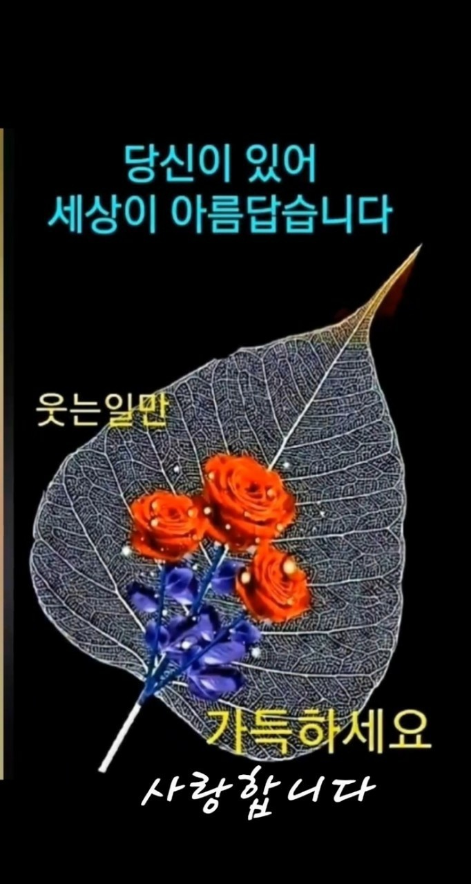  오늘의 좋은글 342번째 가장 안전한 길이 가장 위험한 길이다