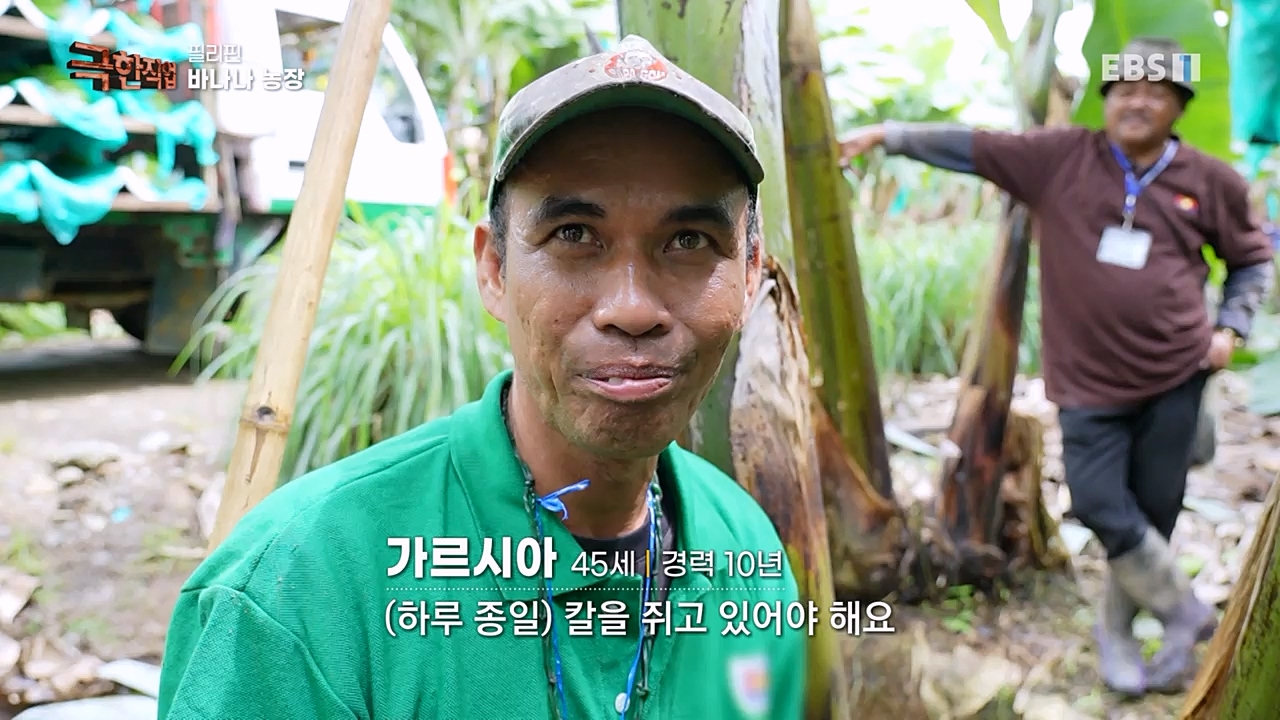 TV - 교육의 중심 EBS필리핀 바나나, 파인애플 농장.mp4_20230302_202857.868.jpg