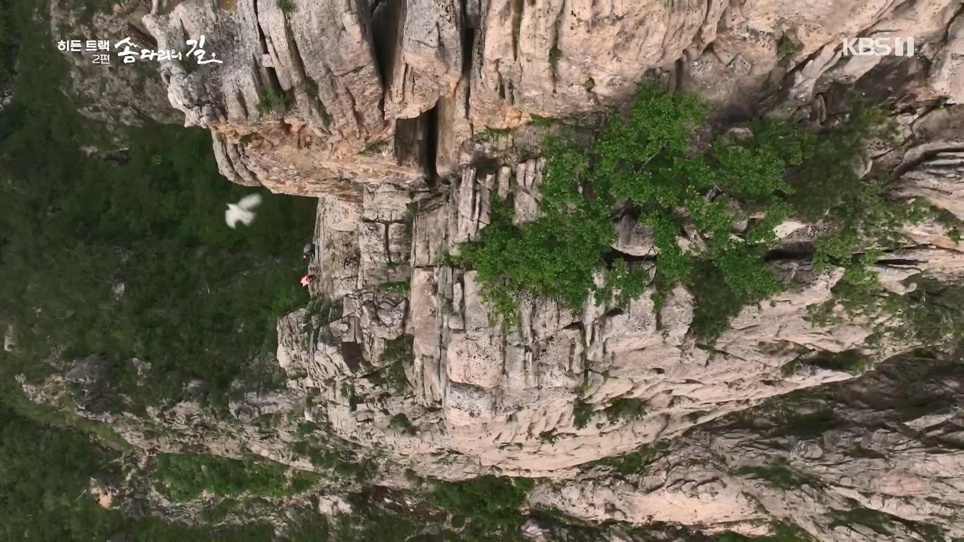 다큐 인사이트.E02.231215p.H264-F1RST.mp4_20231216_182752.490.jpg