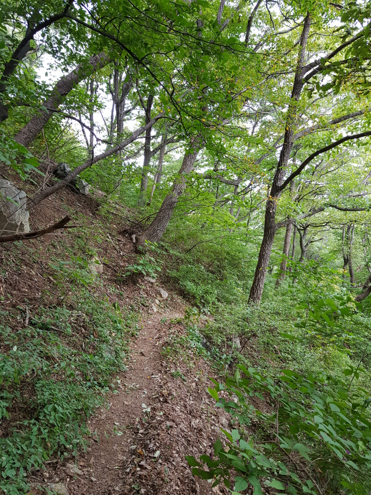 한국 명산 경북 영덕 칠보산 등산 mountain hiking