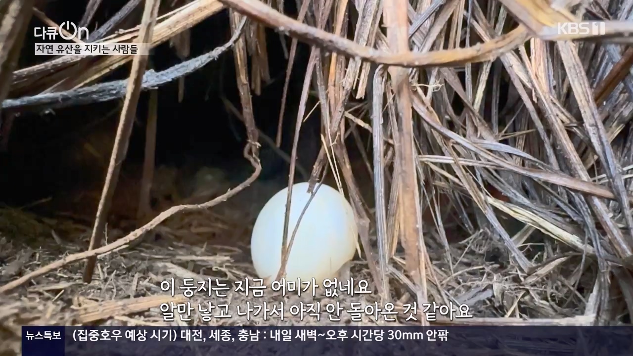 다큐 온.E206.230723p-NEXT.mp4_20230724_214226.890.jpg