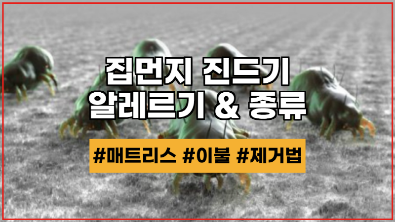  이불 매트리스 집먼지 진드기 종류 제거와 알레르기 증상