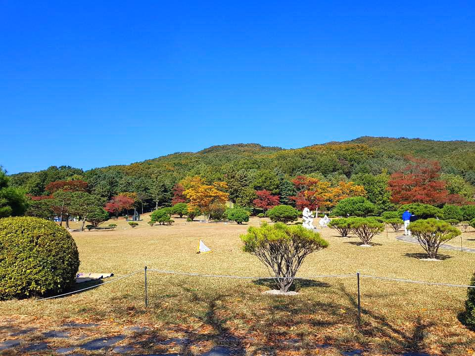  원주 가볼만한 곳/ 피크닉 가기 좋은 오크밸리 ! 원주 산책