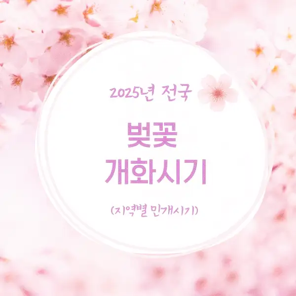 2025년 전국 벚꽃 개화시기 지역별 만개시기
