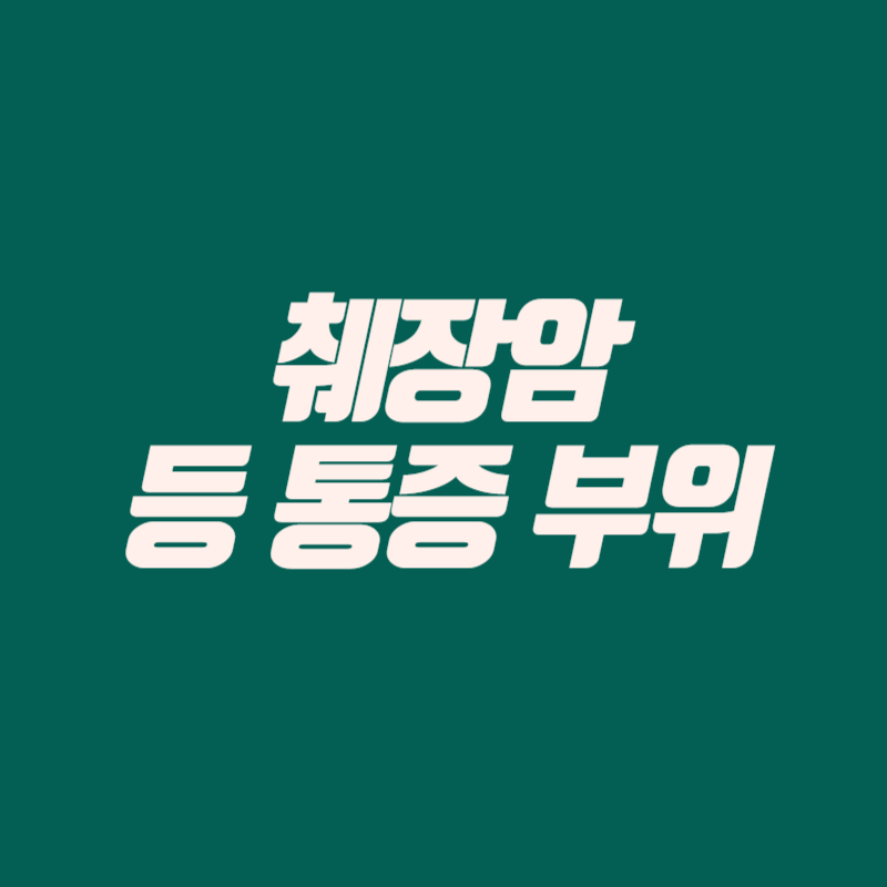 췌장암 등 통증 부위