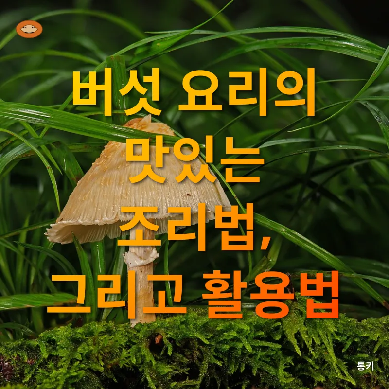 버섯 요리_3