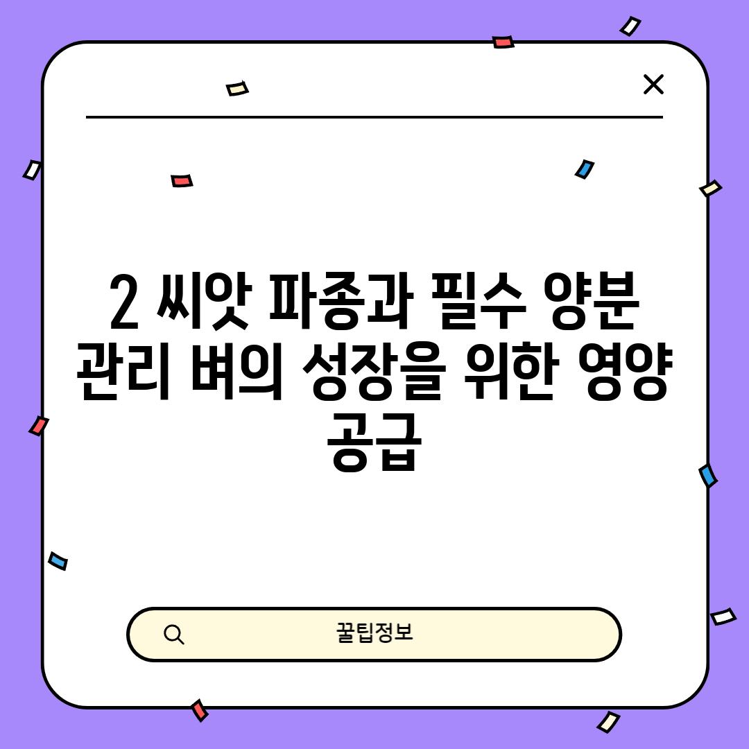 2. 씨앗 파종과 필수 양분 관리: 벼의 성장을 위한 영양 공급