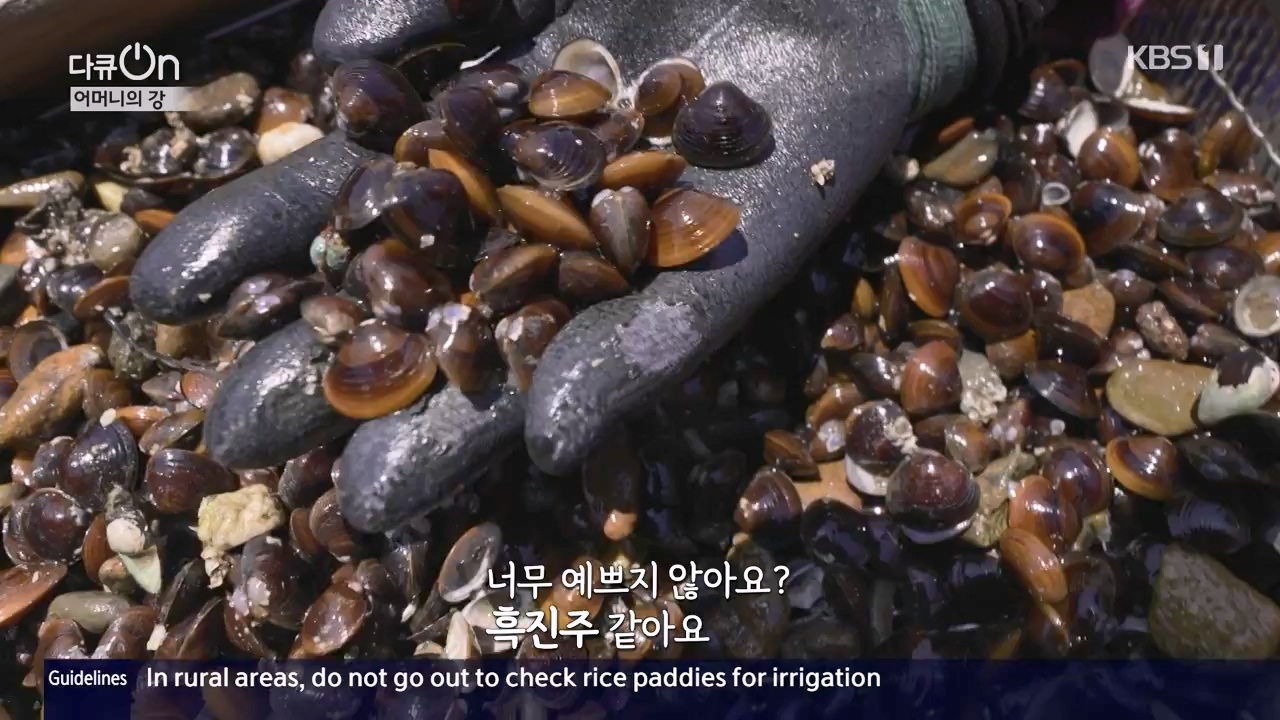 다큐 온.E206.230723p-NEXT.mp4_20230724_214222.138.jpg