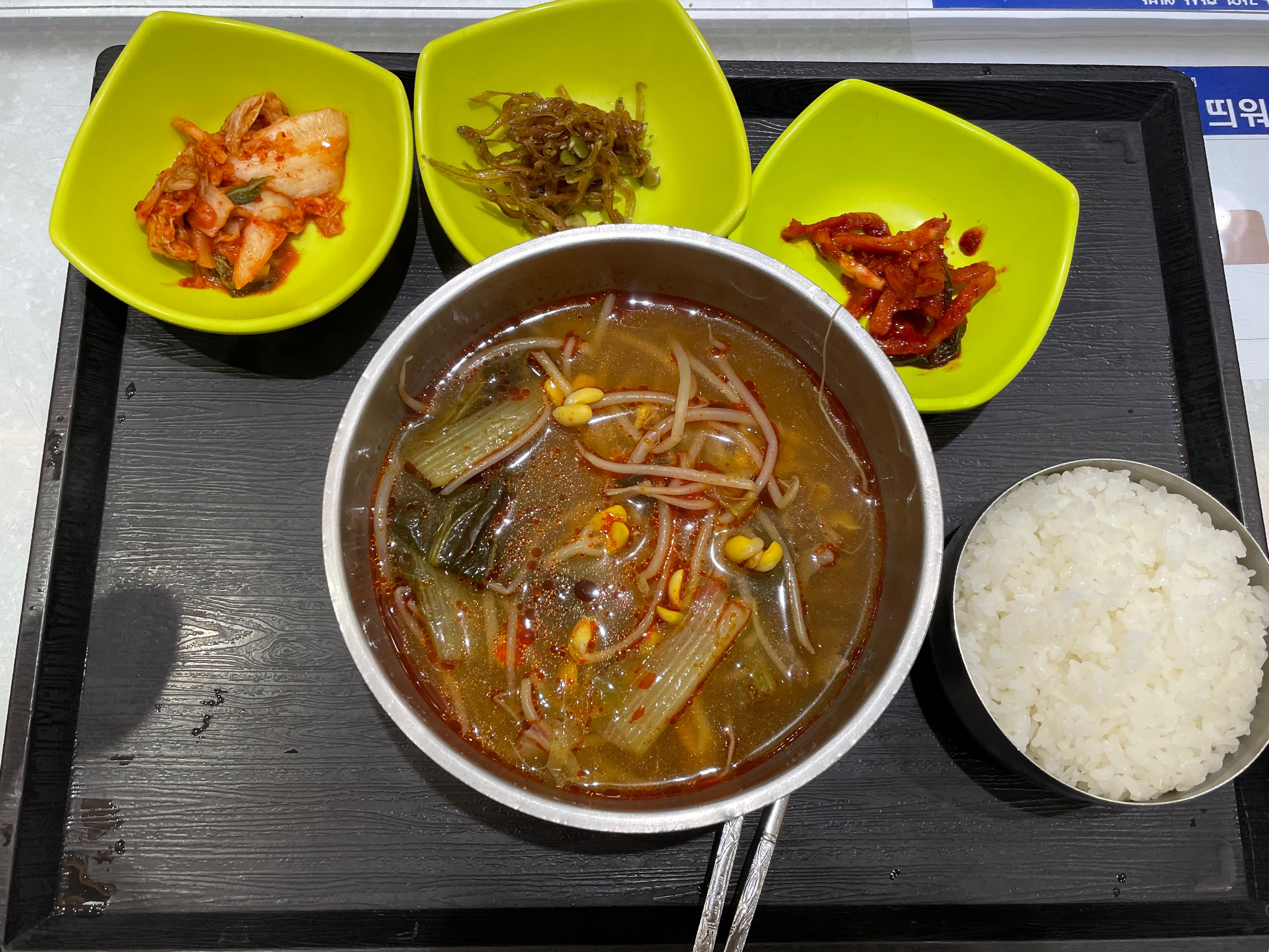 삼양목장으로 떠나는 강원도 힐링 여행기 :)