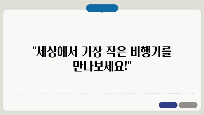 작은 비행기의 다양한 활용 사례