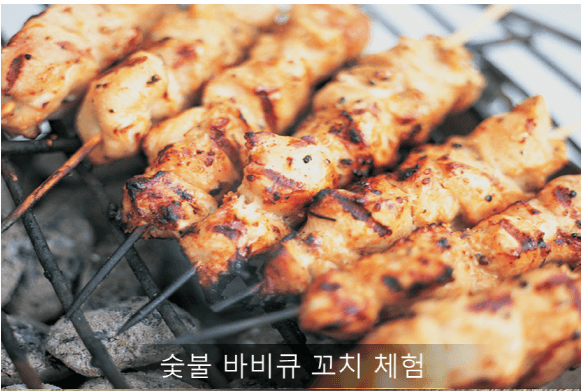 양평빙송어축제 솔직후기 및 할인예약방법