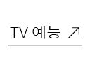 TV예능