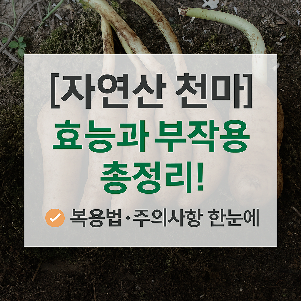 자연산 천마 효능과 부작용 총정리! 먹기 전 꼭 알아야 할 정보