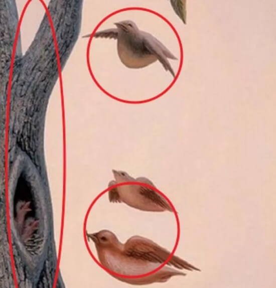 성격테스트 그림의 새와 나무에 동그라미 표시한 이미지