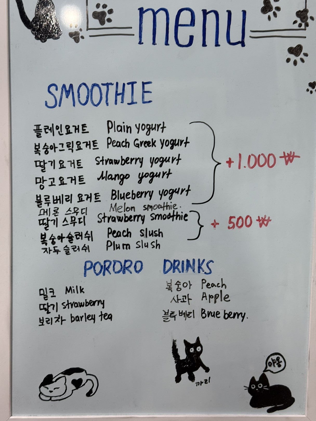대구 고양이 카페