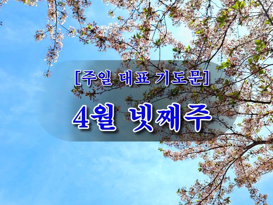 4월 넷째주 주일 대표 기도문