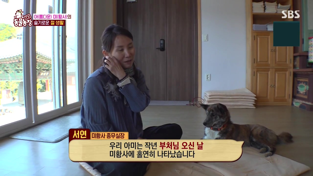 TV 동물농장.E1168.240422p-NEXT.mp4_20240421_163305.233.jpg